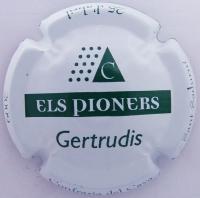 Placa