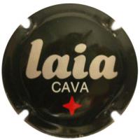 Caves
