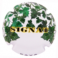 Placa 55a53b8778c26_cc902fdc32097d5152e8b50f498635a7