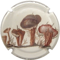 Placa 55a689e41f072_4003a69be2fd44b66fc001ac4a493a98