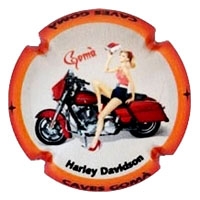 Placa 5697ff9c93f57_72ddac2ff22b43bbc47946cb3c09ba4f