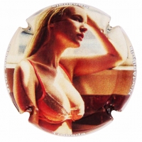 Placa 56af51dcc8165_b1a3988237944484012713a8c1ec988f