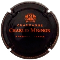 Placa 5b2a292672764_462d4d962504a4867184d8cc39c3d42c