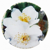 Placa 5b649eed2e3c1_bd1c78ed3b84352f2e9c43711ccc78f6