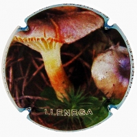 Placa 5bcc518896d40_dc74ca6aeed2f50061d68de751d233a4