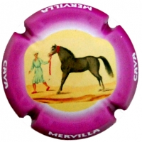 Placa 5d89ac3f4f0dd_e2f3d75e8acda20ea67705a536785b1b