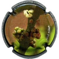 Placa 5eab048279b6b_91e46388400aead365eb337a2333b538