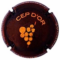 Placa 5f7f39818d70c_6b7aae39f1a95d02b94b3551b1be68c3