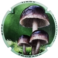 Placa 5fce673aad157_44852db5b8d34845f1a4c8bbac2df124