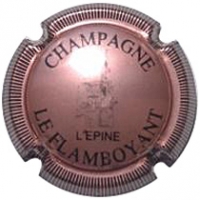 Placa 5ff84c2a7ab0d_00608fd792df486394f4ed78ad2067c9