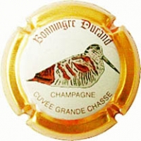 Placa 60869cae64684_bb0e0c424559a5a670313451eada41f5