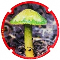 Placa 60a3c50d73073_ccc1224d1a1635b35f2fdb6043819317