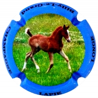 Placa 60ed5dd1eced4_2aa80402c0ff13c96d55b04533583728