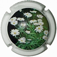 Placa 61864e1d60a9f_b2180146e879d231570e0e671e9031ba