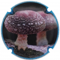 Placa 6240b6f01f3ce_574976dbfcc9eafd8f70d60ca4c77db6