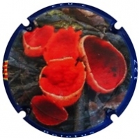 Pirules