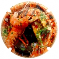 Placa 630cf345af9be_180f076c590ba2fcd9b7431f7067334f