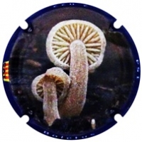 Placa 633a90600c462_d224278659137ccf68f120d50c125fd2