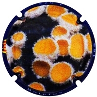 Placa 633a9098300c8_21b7cc56d6f31cd1766dc578f8b2d2eb