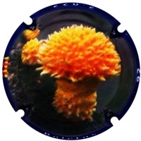 Placa 63471b599148b_af444d145aebe0c1136db30b29bde8d0