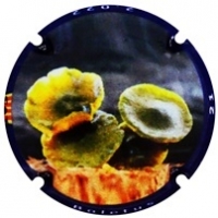 Placa 637cbca39393c_198d80e3f802075f5fe2d8ed9d29e0b8