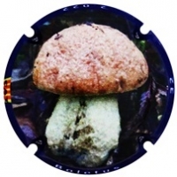 Placa 637cbda52b00f_7749e0ce1ccf1197523577b1962e9800