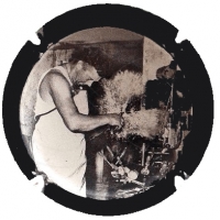 Placa 63862c32d5ae6_2e6c4c1184d550c492f3bdbd627408fb