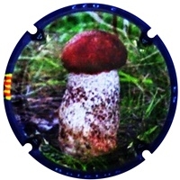 Placa 63a1f88bbd64f_0e9bf0f606a541a47e9153a2382dc89f