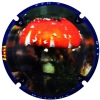 Placa 63a1f9ffec842_061a888001cd56bae2d162867e918a52