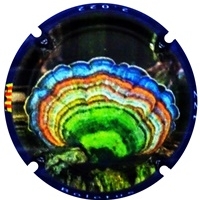 Placa 63a23909da939_37a5af6f8541464e8c3d221748307235