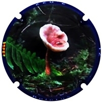 Placa 63d40514c2eea_40c64172cdecafe499dbaef66c854fe9