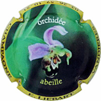 Placa 6481937b5589d_bb4e50ce6969d7f69bc1f07bdd7e8621