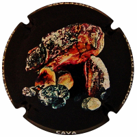 Placa 657ed8a4e1083_5f60dd217abd3c9ccef92026b00389f2