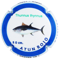 Placa 65c4fdcfd5aae_8a9ac56d450d8b0fea4a6b55d0faa420