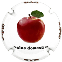 Placa 674235f703878_1e838a13c5571593570d20509d044956