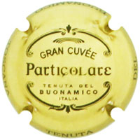 Placa 68077df81138c_c555d617cc68b7967b06d76ea7b2f004