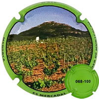 Autonòmica