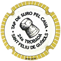 Placa 6860ecda82be5_3b31d9a1a9ba7022e6903e85d5b4ed23