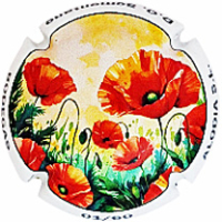 Placa 68c7f56e2e18c_ea39ca750dadc7d5972498ae8c02d871