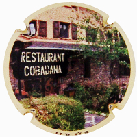 Placa 68ca502e4d94a_0effee85e8f1cb195ee8c86067c78729