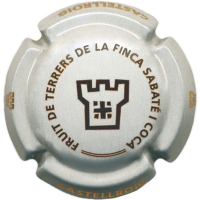 Placa 6963cf06d07f5_5edac6f555f0fa0b508bf03c7864b5f2