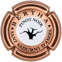 Placa 696a2c69947d1_30d1124d6cdb67b35414778100542456