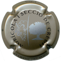 Placa