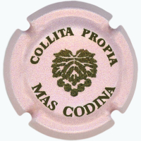 Placa