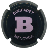 Autonòmica