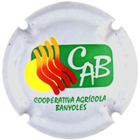 Placa