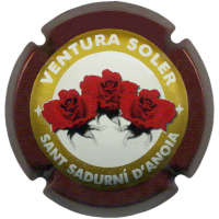 Placa